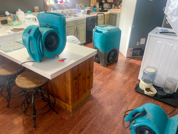 Best Local water damage restoration  in Myrtle Creek, OR
