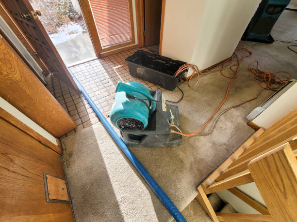 Best Water damage restoration services  in Myrtle Creek, OR