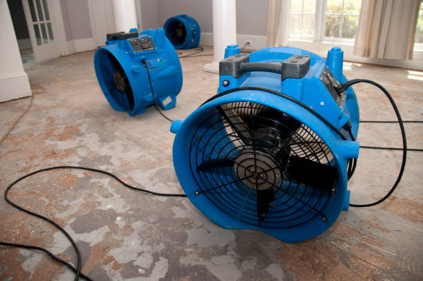 , OR Water damage restoration Company