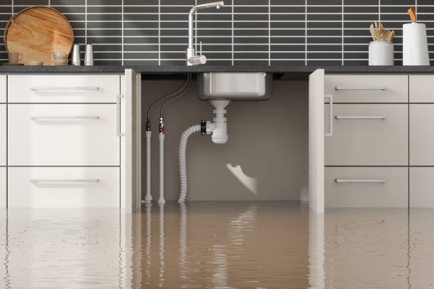 Best Water damage restoration near me  in Myrtle Creek, OR