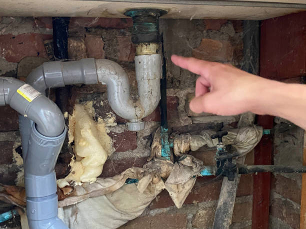 Best Water damage mitigation services  in Myrtle Creek, OR
